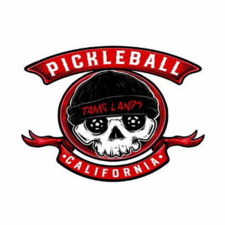 PICKLEBALL TAME LANDS CALIFORNIA