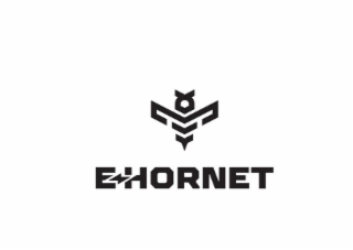 E-HORNET