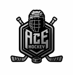 ACE HOCKEY