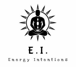 E. I. ENERGY INTENTIONS