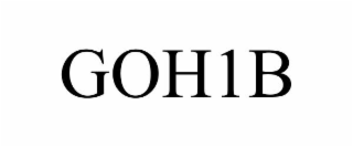 Image for trademark with serial number 98782061