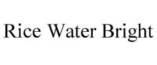 RICE WATER BRIGHT