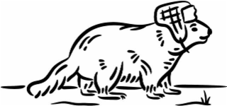 Image Trademark
