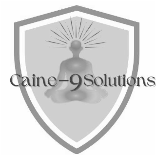 CAINE-9 SOLUTIONS