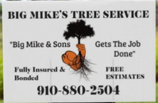 BIG MIKE'S TREE SERVICE 