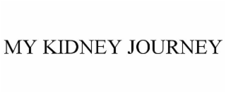 MY KIDNEY JOURNEY
