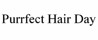 PURRFECT HAIR DAY
