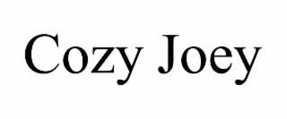 COZY JOEY