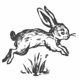 Image Trademark