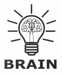 BRAIN