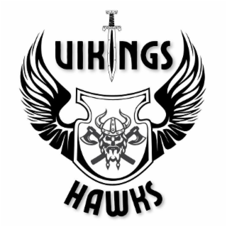 VIKINGS HAWKS