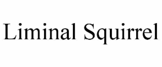 LIMINAL SQUIRREL