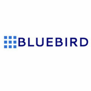 BLUEBIRD