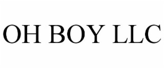 OH BOY LLC
