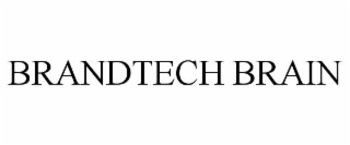 BRANDTECH BRAIN