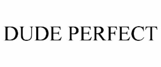 DUDE PERFECT
