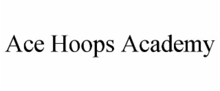 ACE HOOPS ACADEMY