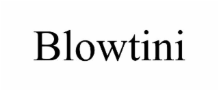 BLOWTINI