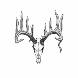Image Trademark