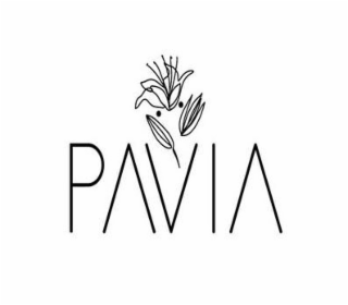 PAVIA