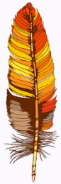 Image Trademark