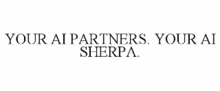 YOUR AI PARTNERS. YOUR AI SHERPA.