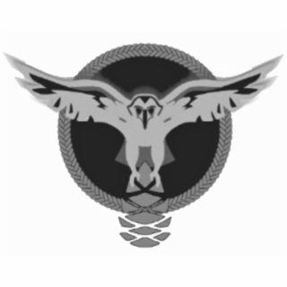 Image Trademark