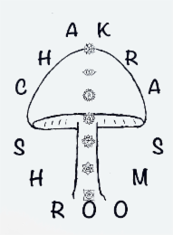CHAKRA SHROOMS