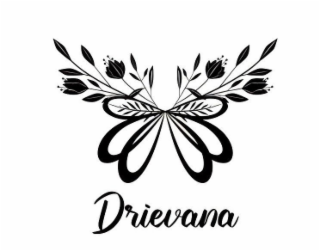 DRIEVANA