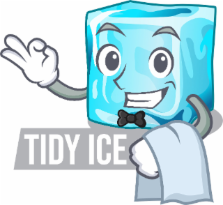 TIDY ICE