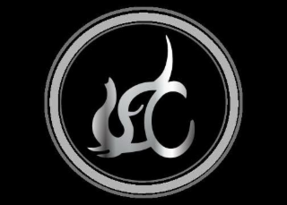 A STYLIZED LOWER CASE LETTER D AND A STYLIZED LETTER C FORMING AN ELEPHANT HEAD