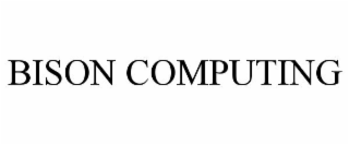 BISON COMPUTING