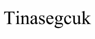 TINASEGCUK