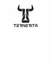 TERNERITA