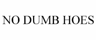 NO DUMB HOES