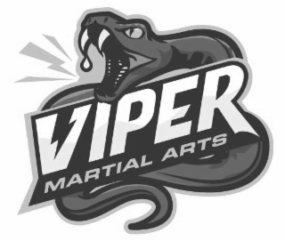 MARTIAL VIPER ARTS