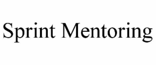 SPRINT MENTORING
