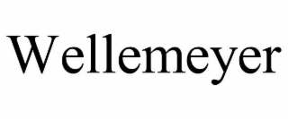 WELLEMEYER