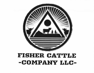 FISHER CATTLE - COMPANY LLC -