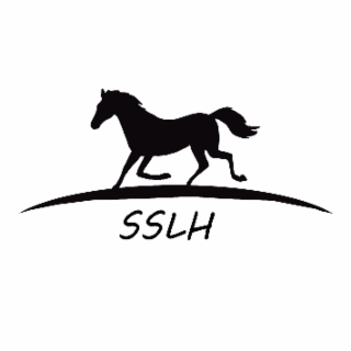 SSLH