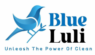 BLUE LULI UNLEASH THE POWER OF CLEAN
