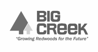 BIG CREEK GROWING REDWOODS FOR THE FUTURE