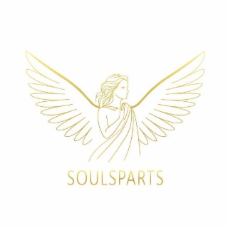 SOULSPARTS