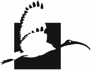 FLYING IBIS MARKETING