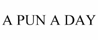 A PUN A DAY