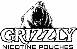 GRIZZLY NICTOTINE POUCHES