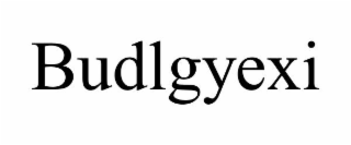 BUDLGYEXI