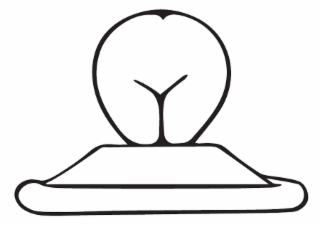 Image Trademark