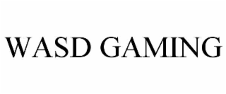 WASD GAMING