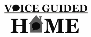 V ICE GUIDED HME